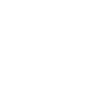 icones60-serv–04